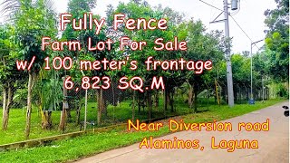 6823 SQM FARM LOT FOR SALE Prop 181 ALAMINOS LAGUNA [upl. by Ierna]