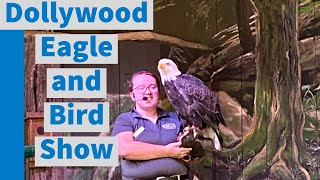 Dollywood Eagle Show [upl. by Akirehs]