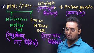 QHOW MANY MEIOSIS ARE REQUIRED FOR THE FORMATION OF 200 pollen grainsBYGKMISHRAchapter2NEET [upl. by Oicnevuj]