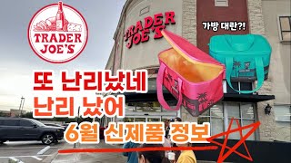 🇺🇸 미국 트레이더조 Trader Joe’s 또 난리났네 난리났어 Mini Insulated Bag  6월 신제품 정보 [upl. by Ardussi631]