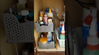 6 Genius UndertheSink Storage Ideas to Organize Your Cabinets [upl. by Gilbertina]