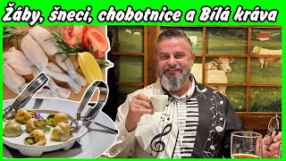 Žáby šneci chobotnice a Bílá kráva [upl. by Genia]