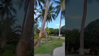 Venomar Beach Resort  Sta Cruz Zambales [upl. by Arlyn]