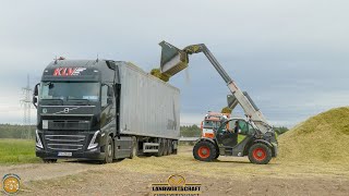 Großauftrag 4000 T Maissilage 2 Teleskoplader Verladen auf 8 LKW Gespanne Großeinsatz Landwirtschaft [upl. by Deelaw138]