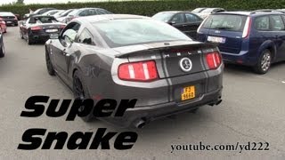 Mustang Shelby GT500 Super Snake  LOUD SOUNDS [upl. by Aya]