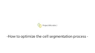 MicrobeJ  How to optimize the segmentation process [upl. by Akima]