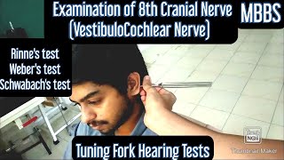 Examination of 8th Cranial Nerve VestibuloCochlear Nerve  MUHS  mbbs physiology practical [upl. by Peh]