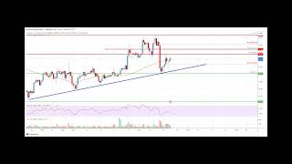 Litecoin LTC Price Analysis Rally Could Extend Toward 80 [upl. by Nydroj]