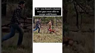 Kangaroo 🦘 attack dog wildlife attack funny funnyvideo dangerous coolmoment [upl. by Jaal62]