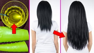 How To Make Aloe Vera Hair Oil For Hair Growth Fast Stop Hair Loss And Regrow Lost Hair [upl. by Novyart168]