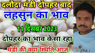 दलोदा मंडी दोपहर बाद का लहसुन का भाव 11 दिसंबर 2023 fresh garlic rate today aaj ka lahsun ka bhav [upl. by Nigle784]