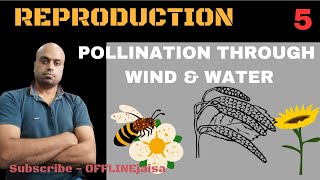 POLLINATION THROUGH ABIOTIC AGENTS [upl. by Ilac]