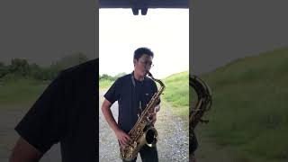 Autumn leaves Tenor Saxophone Beginner 7 months [upl. by Lissak]