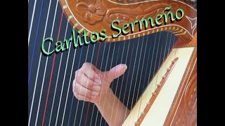 how to play the Harp  clases de Arpa  glissando y tremolo [upl. by Westney]