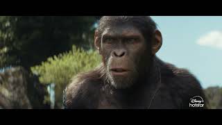 Kingdom of the Planet of the Apes  Hindi  Now Streaming  DisneyPlus Hotstar [upl. by Borman]