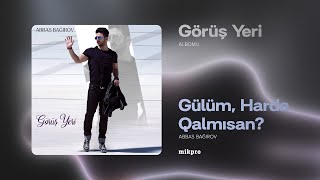 Abbas Bağırov — Gülüm Harda Qalmısan  2017  quotGörüş Yeriquot Albomu [upl. by Nohtanoj]