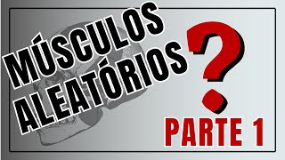 MÚSCULOS ALEATÓRIOS  PARTE 1  Corpo Quiz [upl. by Merrow]