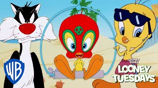 Looney Tuesdays  Best of Tweety from Sylvester and Tweety Mysteries 🔍  Looney Tunes  WB Kids [upl. by Hasan]