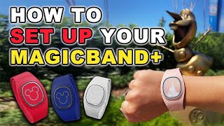 How to Set Up Your MagicBand and Fab 50 Quest Guide  Walt Disney World [upl. by Epifano29]