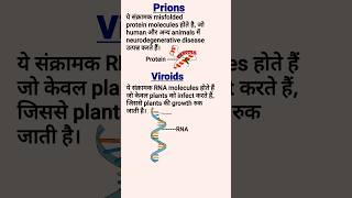 Prions Viroids Virus and Virion  Difference between prions and Viroids [upl. by Akimal178]