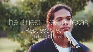 The Bluest Eyes In Texas  Restless Heart Jade key Durotan cover [upl. by Hodges]