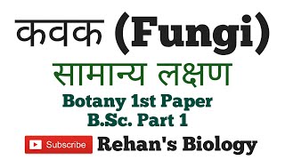 कवक सामान्य Fungi लक्षण Rehans Biology Botany 1st Paper BSc Part 1 [upl. by Anihsit891]