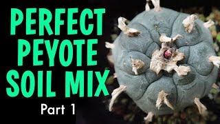 Perfect Peyote Soil Mix Part 1  Lophophora Williamsii soil recipe [upl. by Sutelc30]