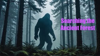 The Ancient Forest that could prove Bigfoot Exists [upl. by Ambler647]