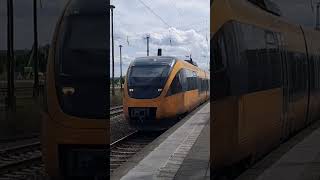 Ausfahrt von RB12 nach Templin Stadt in Oranienburg August2024 [upl. by Yeldarb]