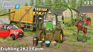 Moving amp Feeding Calf Finishing Corn silage Harvest│Frühling 2K23│FS 22│Timelapse15 [upl. by Anoli]