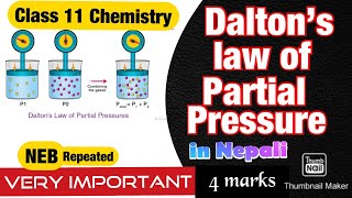 Dalton’s Law Of Partial Pressure Explained in Nepali  Class 11 Chemistry State of Matter [upl. by Kelsey206]