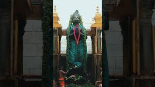 Jai Hanuman god [upl. by Truelove]