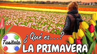 La Primavera  Aprende todo sobre la primavera  La primavera para niños [upl. by Samau]