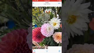 How To Send Photos From Your Cell Phone [upl. by Anneliese]