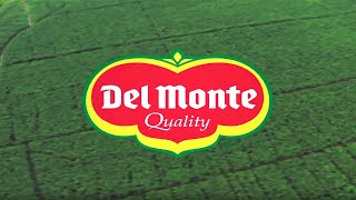 Fresh Del Monte Produce Inc Corporate Video [upl. by Hamburger]