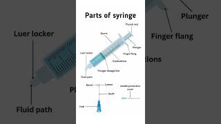 Parts of syringe 💉।। Use of syringe syringe medical doctor nursing trending niddle [upl. by Angelina]