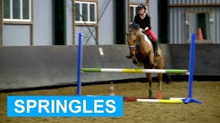 Jumping lesson  FAIL  felinehoi [upl. by Illek]