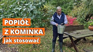 Jak stosować popiół z kominka w ogrodzie Popiół jako nawóz mineralny [upl. by Atiuqram83]