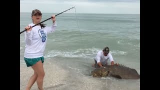 Pesca 35kg CERNIA da Riva su fondo sabbioso INCREDIBILE [upl. by Jereme]