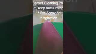 Deep Carpet Cleaning Preparation before Steam Cleaning Any House Cleaning anyhousecleaning [upl. by Capello]