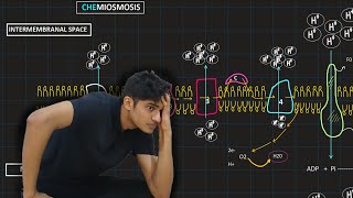 Oxidative Phosphorylation  MDCAT Biology [upl. by Nallid502]