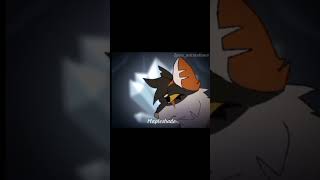 Mapleshade animation edit animation entertainment art warriorcats animator animater [upl. by Nysilla]