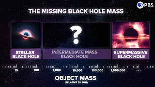 Did JWST SOLVE The Mystery of Supermassive Black Hole Origins [upl. by Reginald236]