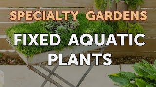 Fixed Aquatic Plants [upl. by Kcerred673]