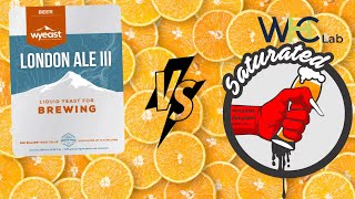 London Ale III vs WHC Saturated  NEIPA Yeast Test [upl. by Yema]