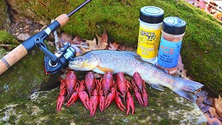 Trout amp Crawfish Catch n Cook at Remote Mountain Waterfalls [upl. by Ennaed335]