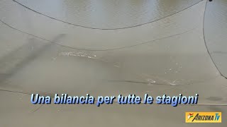 MONDO PESCA  UNA BILANCIA PER TUTTE LE STAGIONI  FIUME LIVENZA  CAORLE  VENEZIA pescasportiva [upl. by Ruff100]