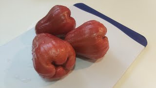 Slicing rose apple  wax apple macopamakopa asmr satisfying live trending [upl. by Dailey476]