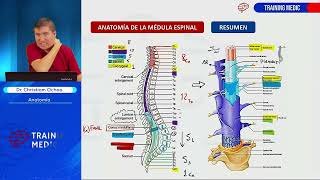 Anatomia 10  Anatomía Humana FÁCIL  Ciencias básicas  TRAINING MEDIC [upl. by Diet865]