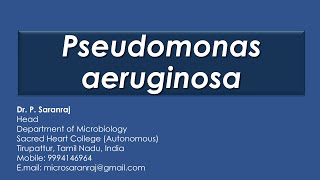 Pseudomonas aeruginosa [upl. by Nations]